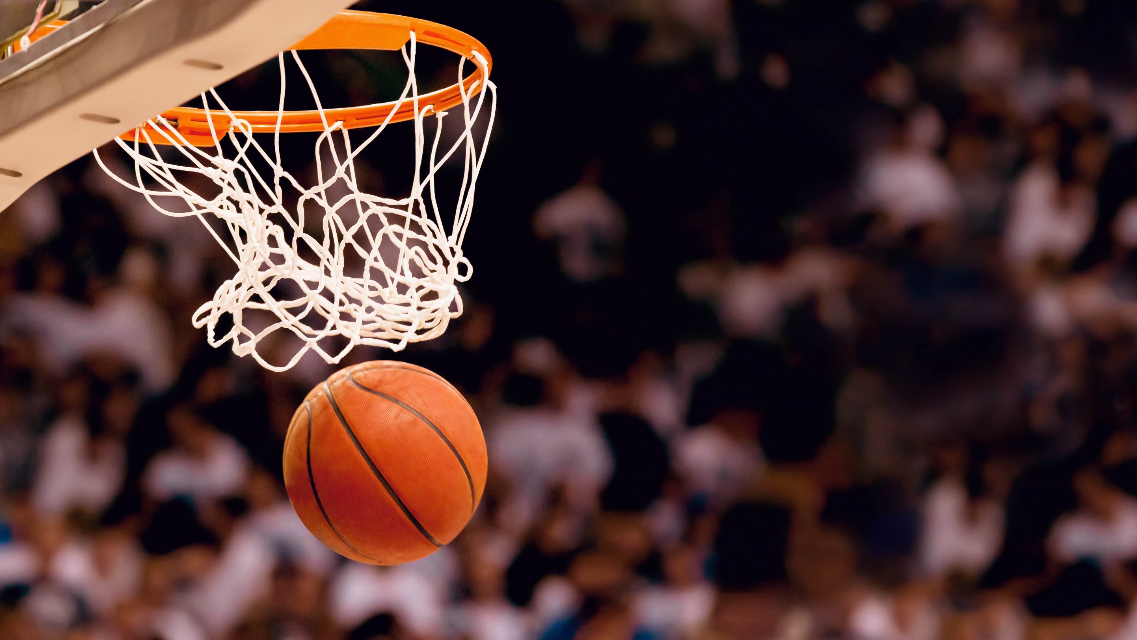 NBA球员替补席能量管理与团队贡献研究，nba替补席规定