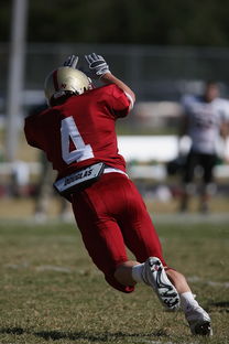 乐鱼电竞在线平台-五大联赛最具统治力的球队如何打造，五大联赛良心球队