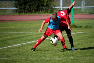 乐鱼电竞在线平台登录入口-中国足球俱乐部管理团队的专业化与运营效率提升，足球俱乐部管理架构