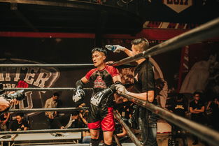 Leyu Sport下载-国足球员技术动作标准化训练，足球技术动作要领